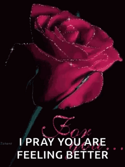 Hope Youre Feeling Better Glittering Rose GIF
