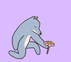 Hope Youre Feeling Better Wolf Giving Flower GIF