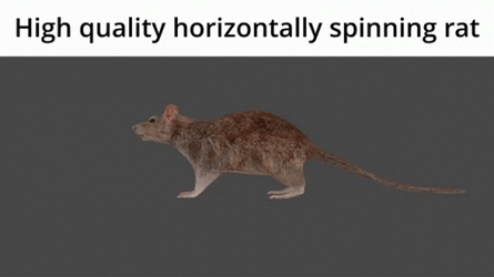 Horizontal Spinning 3D Rat GIF