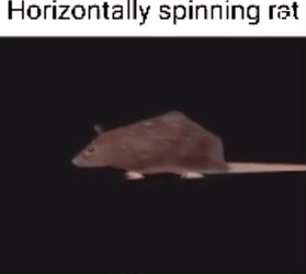 Horizontally Spinning Cartoon Rat GIF