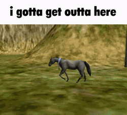 Horse Cannoned Just When I Thought I Was Out GIF
