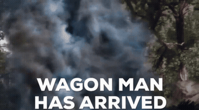 Horse Carriage Pulled By Walrus And Bison GIF