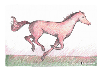 Horse Drawing Animation