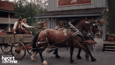 Horse Drawn Carriage Heart And Home GIF