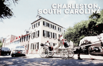Horse Drawn Carriage In Charleston South Carolina GIF