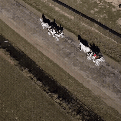 Horse Drawn Carriage On Dirt Road GIF