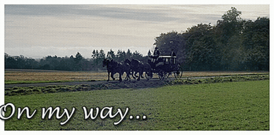 Horse Drawn Carriage On My Way GIF