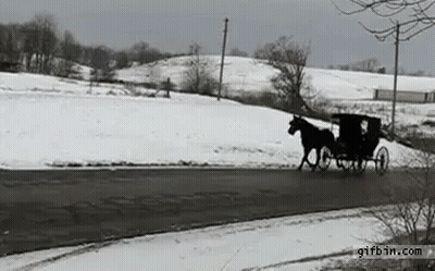 Horse Drawn Carriage On Snowy Road GIF