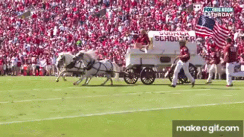 Horse Drawn Carriage Pulled On Football Field GIF