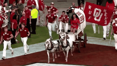 Horse Drawn Carriage With Texas Tech Banner GIF
