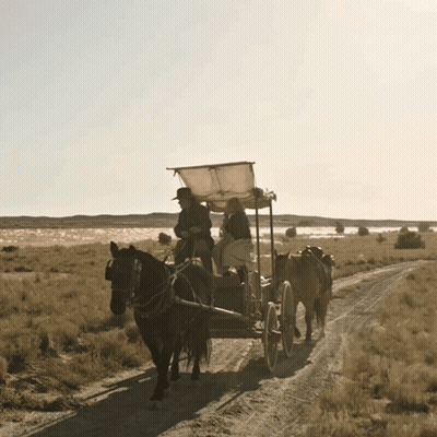 Horse Drawn Carriage With Two People GIF