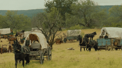Horse-Drawn Covered Wagons In Field GIF