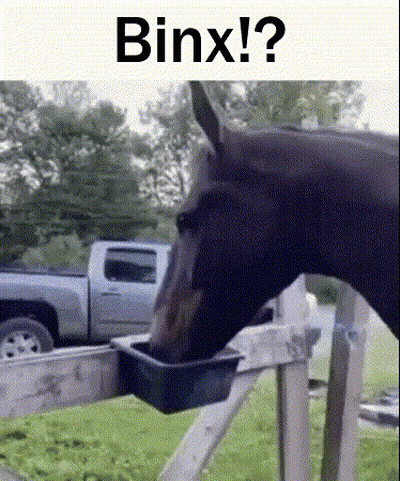Horse Drinking Water From Bucket GIF