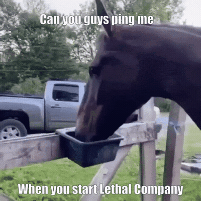 Horse Drinking Water With Lethal Company Caption GIF