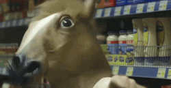Horse Face Neigh Strongly GIF