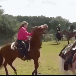 Horse Falling