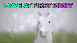 Horse Falling In Love Seeing First Time Meme