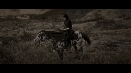Horse GIF