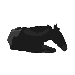 Horse GIF
