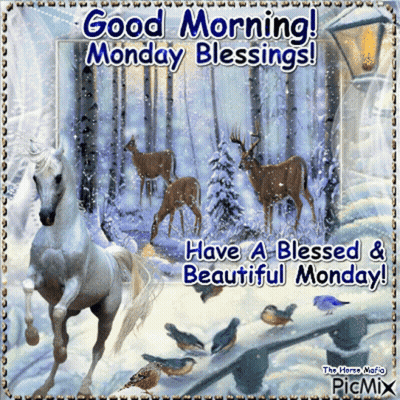 Horse Good Morning Monday Blessings GIF