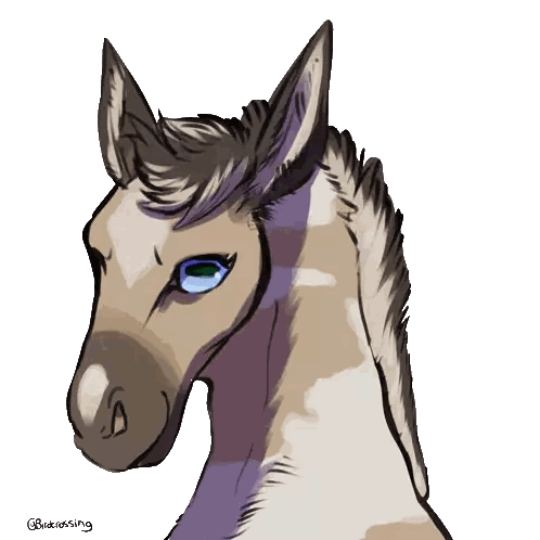 Horse Head Drawing With @Birdcrossing Sticker