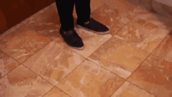 Horse Head Sooo GIF