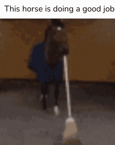 Horse Holding Mop Saying This Horse Is Doing A Good Job GIF
