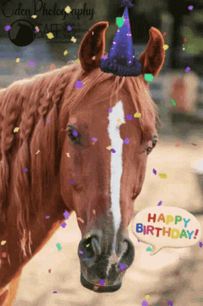 Horse In Birthday Hat With Happy Birthday Bubble GIF
