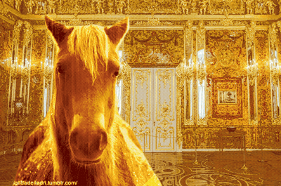 Horse In Room Giltradeladr Tumblr GIF