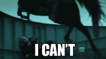 Horse Jump To The Sea I Can't GIF