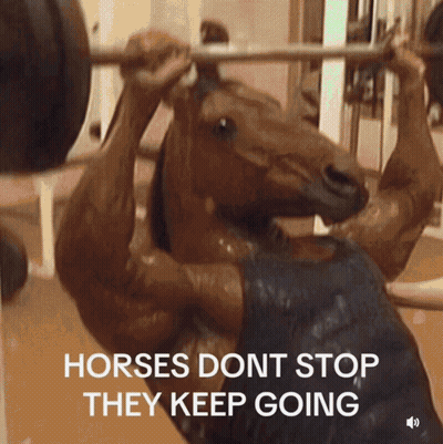 Horse Lifting Barbell Horses Dont Stop They Keep Going GIF