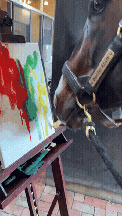 Horse Looking At Painting With Hunter Eagle Halter GIF