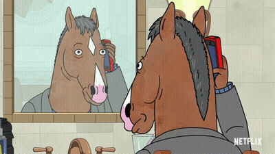 Horse Looking In Mirror With Netflix GIF