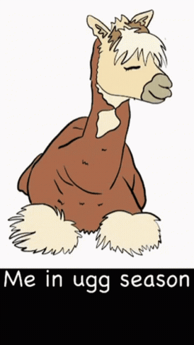 Horse Me In Ugg Season GIF