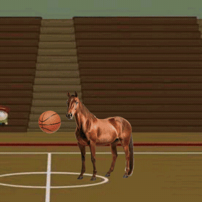Horse Playing Basketball With Cow On Wall GIF