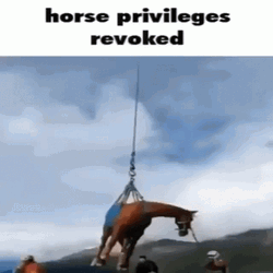 Horse Privileges Revoked