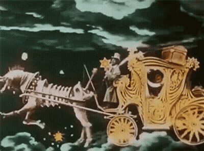 Horse Pulling Carriage With Woman GIF