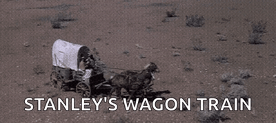 Horse Pulling Wagon In Desert With Stanley's Wagon Train GIF