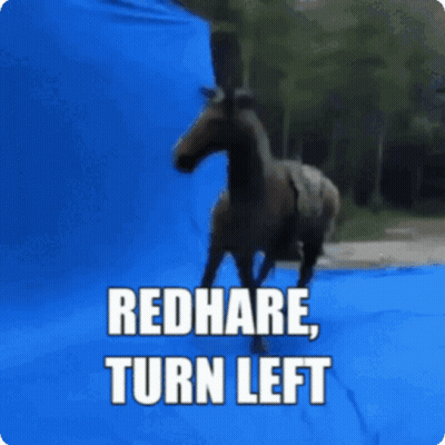 Horse Redhare Turn Left
