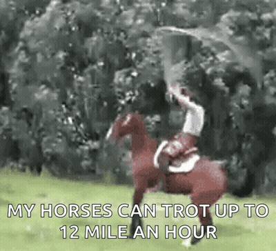 Horse Rider Saying My Horses Can Trot 12 MPH GIF