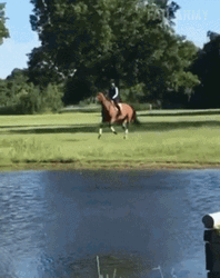 Horse Riding Fail