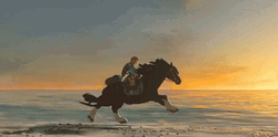 Horse Running Breath Of The Wild GIF