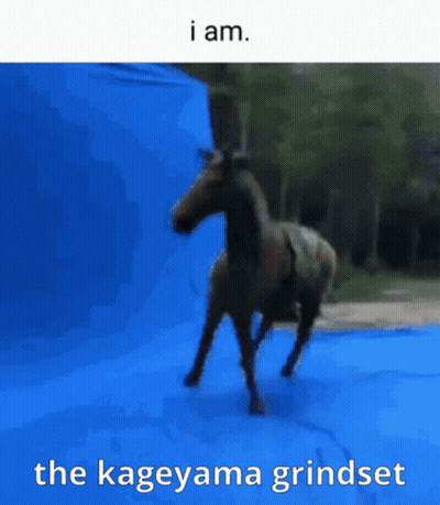 Horse Running In Front Of Blue Background Saying I Am The Kageyama Grindset GIF