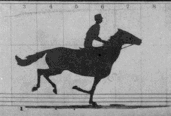 Horse Running Sallie Gardner At Gallop GIF