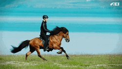 Horse Running See Ya Love GIF