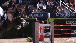 Horse Running Sport Jump Over GIF