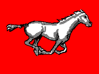 Horse Running Stallion GIF