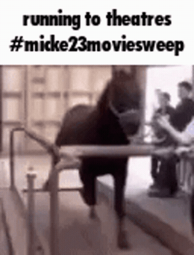 Horse Running To Theatre #Micke23moviesweep GIF