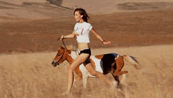 Horse Running Wild Loop GIF