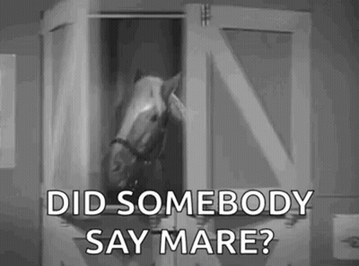 Horse Saying Did Somebody Say Mare GIF
